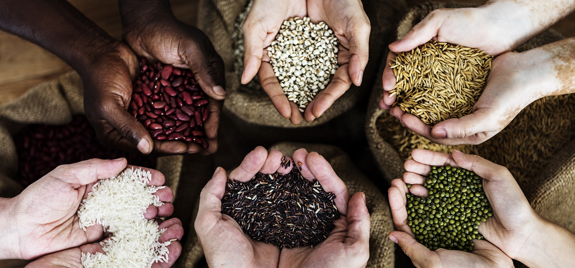 Banner do projeto Feira de Troca de Sementes da Associação Verde Esperança, com paisagem natural e chamada para valorização de sementes crioulas e nativas em eventos gratuitos.
