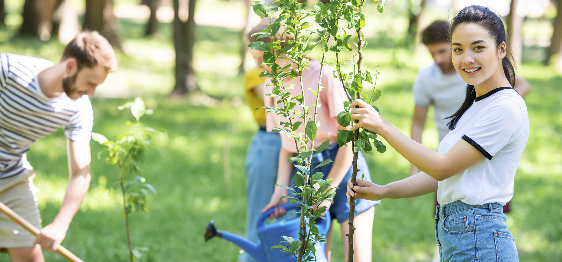 Banner do projeto Florestar da Associação Verde Esperança, com fundo natural e chamada para mutirões de plantio de mudas e sementes nativas em áreas degradadas do Sistema Cantareira.