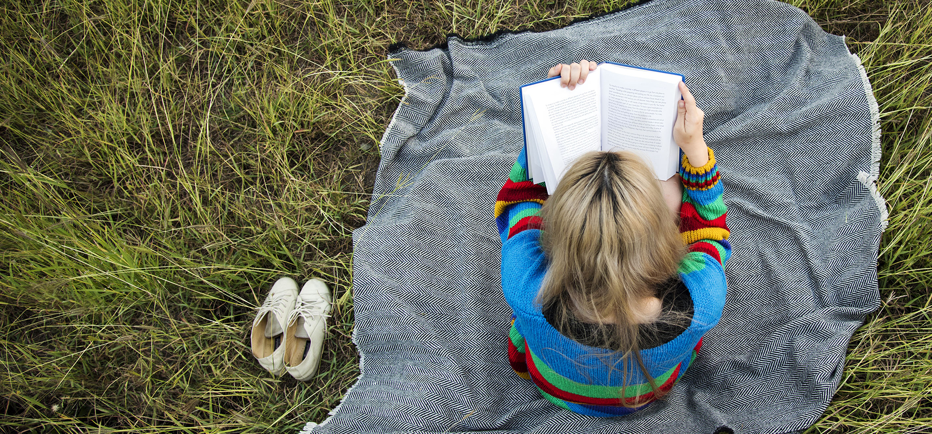 Banner do projeto Raízes Literárias da Associação Verde Esperança, com chamada para selo editorial e biblioteca comunitária voltados à literatura ambiental e saberes populares.
